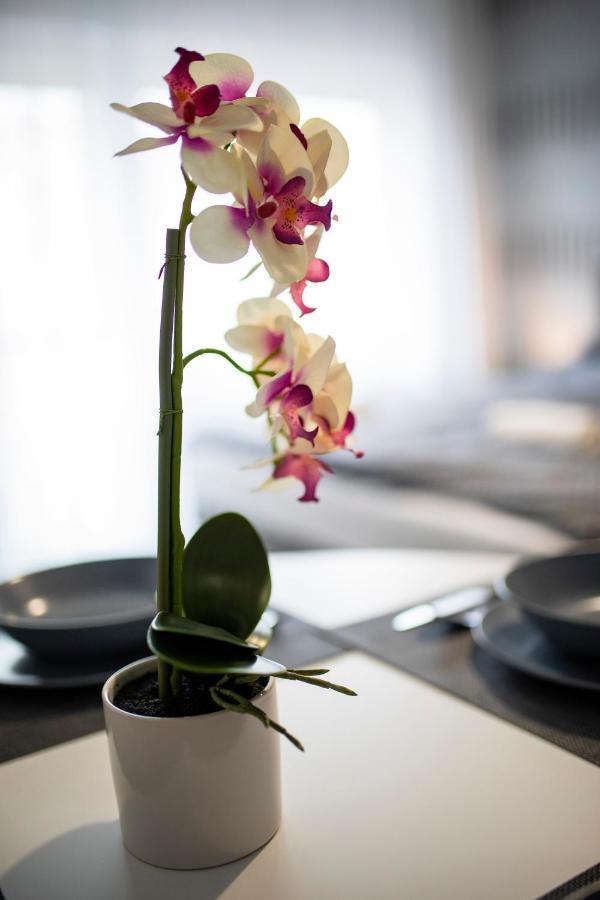 Csipke Apartman Makó 外观 照片