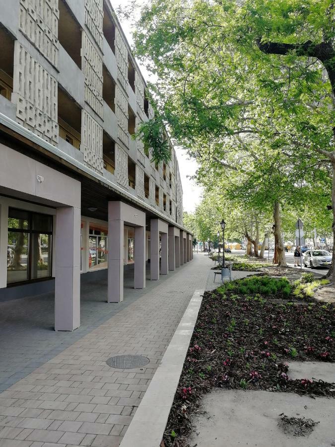 Csipke Apartman Makó 外观 照片